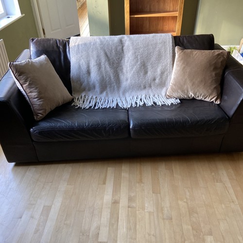 Large dark brown real - brown,